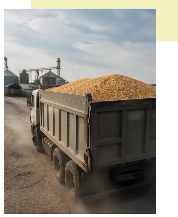 Перевозка сельхозпродукции навалом в Беслана по цене от 3038 р. | Агросервис-Бсл